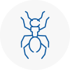 Ant Removals In Hale