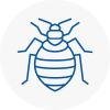 Bed Bug Extermination In Hale