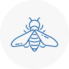 Bee Nest Removal Hale