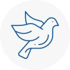 Bird Prevention Hale