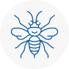 Hale Hornet Nest Removals