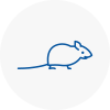 Mice Exterminators In Hale