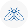 Moth Control Specialists In Hale