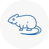 Rat Control Hale