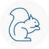 Hale Rodent Removals