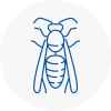 Hale Wasp Nest Removal